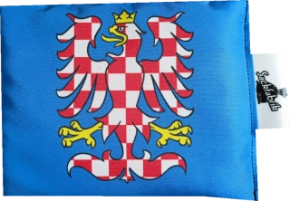 SILISACK proti vlhkosti - MORAVA